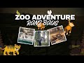 INSIDE THE ZOO 🐅🐒🐧| Maruf alam | #vlog #zoo #animals
