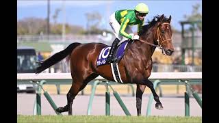 【ショートタイトル】 🐎 サトノレーヴ引退…「夢」は次の世代へ――高松宮記念連覇の名スプリンターが種牡馬入り🌟