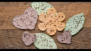 Earth Day Nature Craft / Plantable Seed Paper