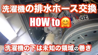 「洗濯機の排水ホース交換HOW to」