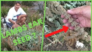 ****thank you for watching today! ****??? please see what i recommend
below.. your support helps me to continue provide garden content in
creating videos f...