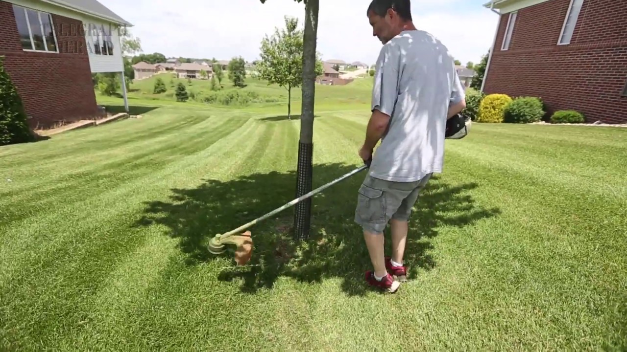 Summer jobs for teachers