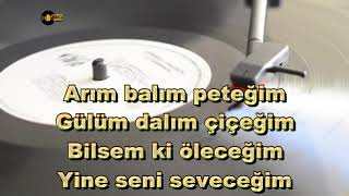 Arım Balım Peteğim - KARAOKE - TSM Resimi