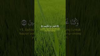 QS. Al- Muddatstsir : 42-48|| #murottalquran