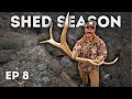 27 sheds in one day plus our biggest set  2023 shed season ep 8