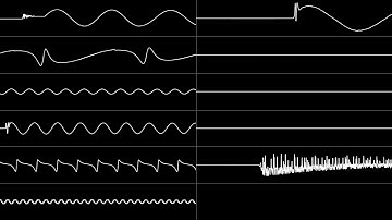 Find Yourself (YMF281)