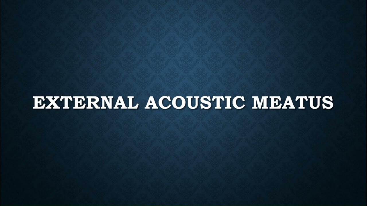 How to Pronounce External Acoustic Meatus YouTube