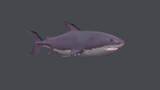 CGI Underwater Scene