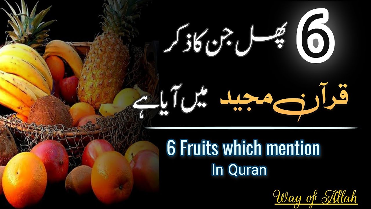 Six Fruits which mentioned in Quran Quran me kin fruits ka zikar aya