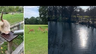 🚨VLOG🚨#zoo #köln #tierpark WIR MACHEN EINEN AUSFLUG MIT DER FAMILIE IN DEN LINDENTHALER TIERPARK!!!!