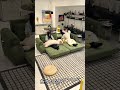 折りたたみソファベッドが便利すぎる！#sofabed #furnituredesign #spacesavingfurniture #shorts #home