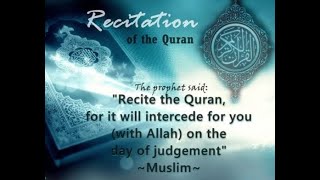 Soothing Quran Recitation for Inner Peace and Reflection