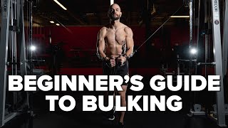 A Beginners Guide To Bulking