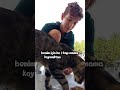 Harçlıklarımla sokak hayvanı besliyorum - Gün 7
