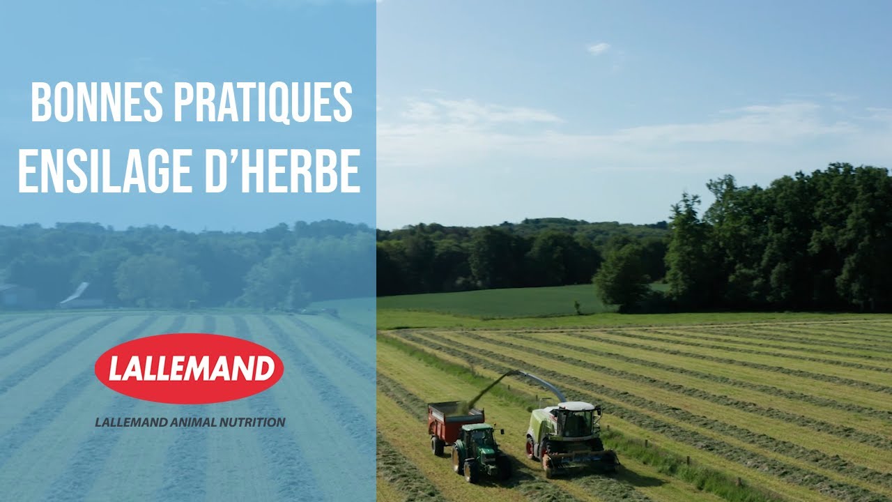 Ensilage d'herbe silo couloir - Les bonnes pratiques