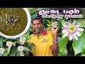 K2K -Epi - 20 | முட்டை பழ கொழுந்தில் துவையல் | Canistel Fruit Kozhundhu Thuvaiyal 🤩