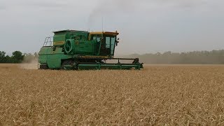 Уборка пшеницы 2018! ДОН-1500Б. Урожайность 70 ц/га сорт Уруп.
