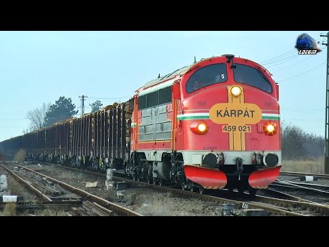 M61 Nohab 459 021-5 & Tren cu Lemne VTS Wood Train in Gara Episcopia Bihor Station 25 November 2021