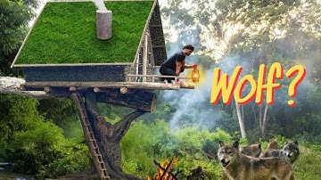 Man Builds a Safe Treehouse Shelter to Escape Forest Predators