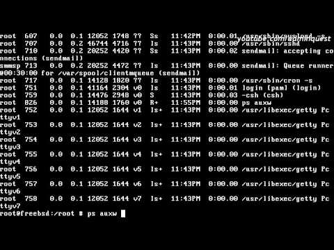 Video: Kako Isključiti Freebsd