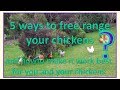 5 ways to free range your chickens - which will be best for you?