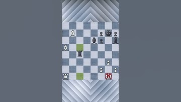 Nimzo Larsen Attack Modern Variation   Novkovic Holds for a Draw Against Matnadze Bujiashvili