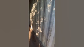 Container Delivery from Eveon Containers! 40 ft high cube Container!