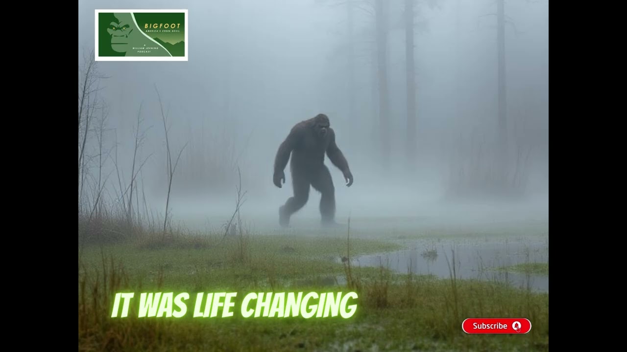 Bigfoot Sighting Accounts and Regional Patterns
