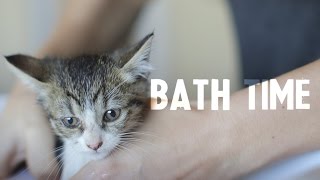 Daisy, the tiny kitten, gets her first bath