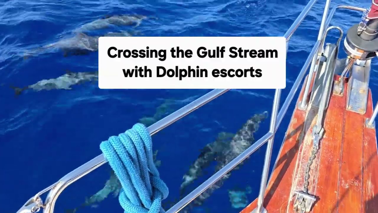 ⁣Crossing the Gulf Stream in a sailboat