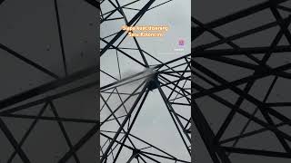 Siapa Kuat Diserang Sekoloni Ini