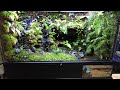 Re.【滝と川と水の滴るイモリウム9060】立ち上げ/vivarium,paludarium,aquaterarium,Newt,Setup/JAPAN