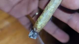 Orange Creampop joint smoking hard ‼️🎯💯🔥🍊🍊🍊