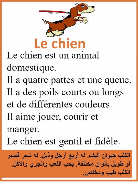 Integration situation in French Le chien 🐕