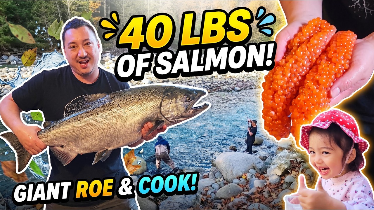 We Finally Landed White Spring Salmon (Chinook)
