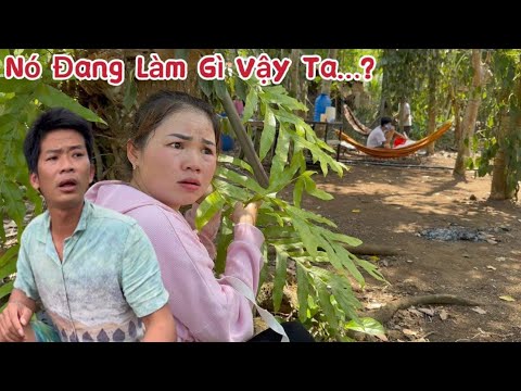 Phương Ế và