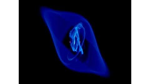 Circumbinary disc around eccentric binary: Initial tilt=45, eccentricity=0.9