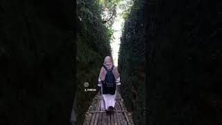 Download Lagu Lorong Lumut jayagiri Lembang Bandung MP3