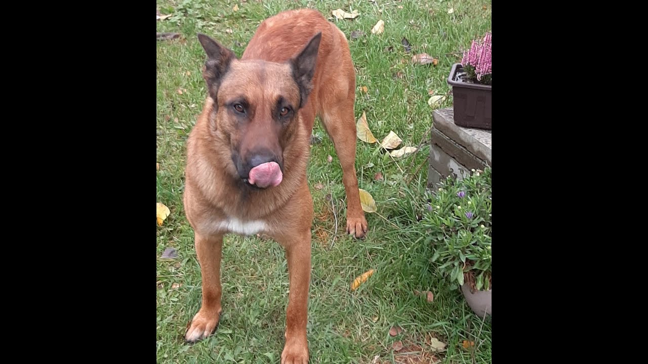 Fisch ist etwas feines