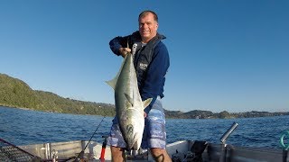 Spring Snapper & Kingfish 2017