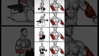 ✅️ Exercises for Bigger Forearms #tranding #gym #fittness #yoga #workout #motivation #viralvideo #fi