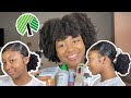 Tutorial | Doing a Slick Back Using ONLY Dollar Tree Products on Type 4 Natural Hair!