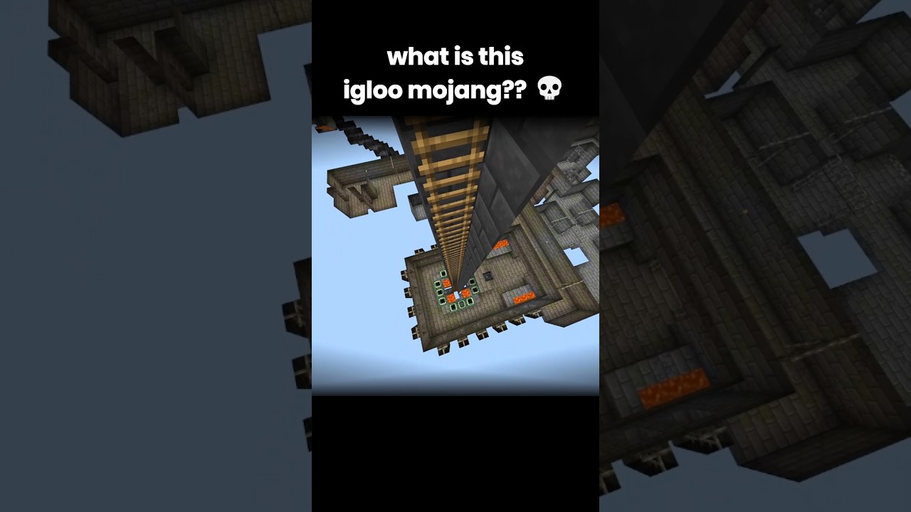 Minecraft Igloo Moment