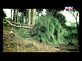 لمحة Episode 9 لمحة Episode 9