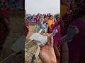 DJI mini 2 #reels #shortvideo #shorts #djimini2 #drone #dji #camera #new #video #viralsong #ytshorts