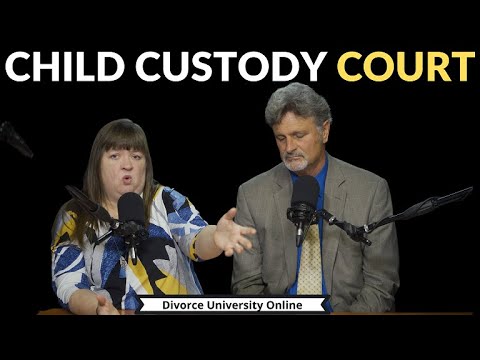 custody lawyers in louisiana