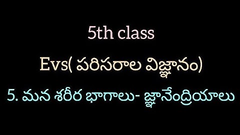 5th class Evs(పరిసరాల విజ్ఞానం)/5. మన శరీర భాగాలు-జ్ఞానేంద్రియాలు/ #students #tet #dsc #evs#science