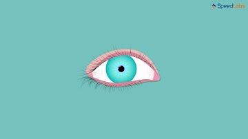 Class-8-Science-Ch-6-Light: Reflection 8-Topic- Blind Spot of the Eye