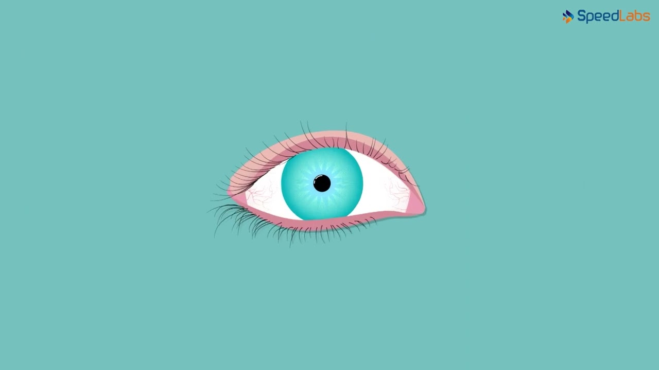 Class-8-Science-Ch-6-Light: Reflection 8-Topic- Blind Spot of the Eye