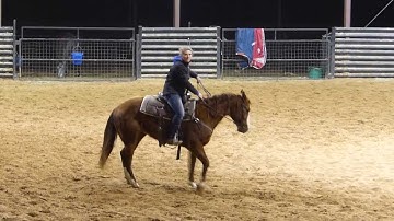 Miss Scoot N Toot - sorting practice - warming up - Valley View Ranch